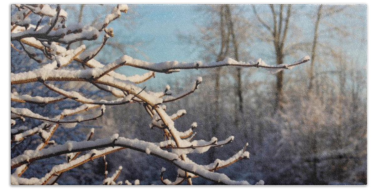 Snow Beach Towel featuring the photograph Snowy Branches by Brian Eberly