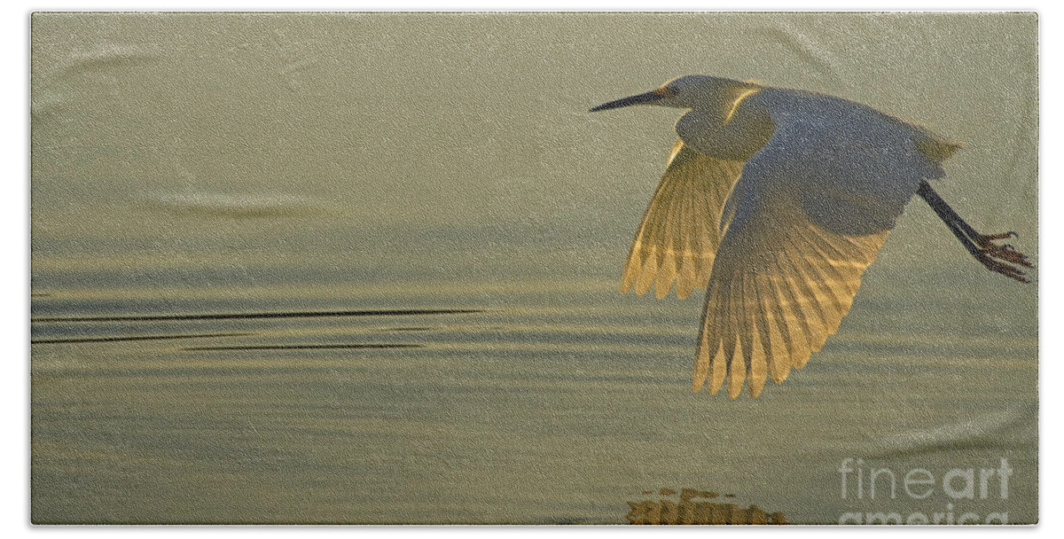 Snowy Egret At Dusk Beach Sheet featuring the photograph Snowy Egret At Dusk-Signed-#6037 by J L Woody Wooden