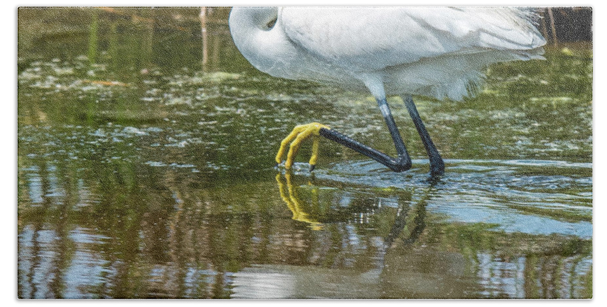Egret Beach Sheet featuring the photograph Snowy Egret Reflection by William Bitman