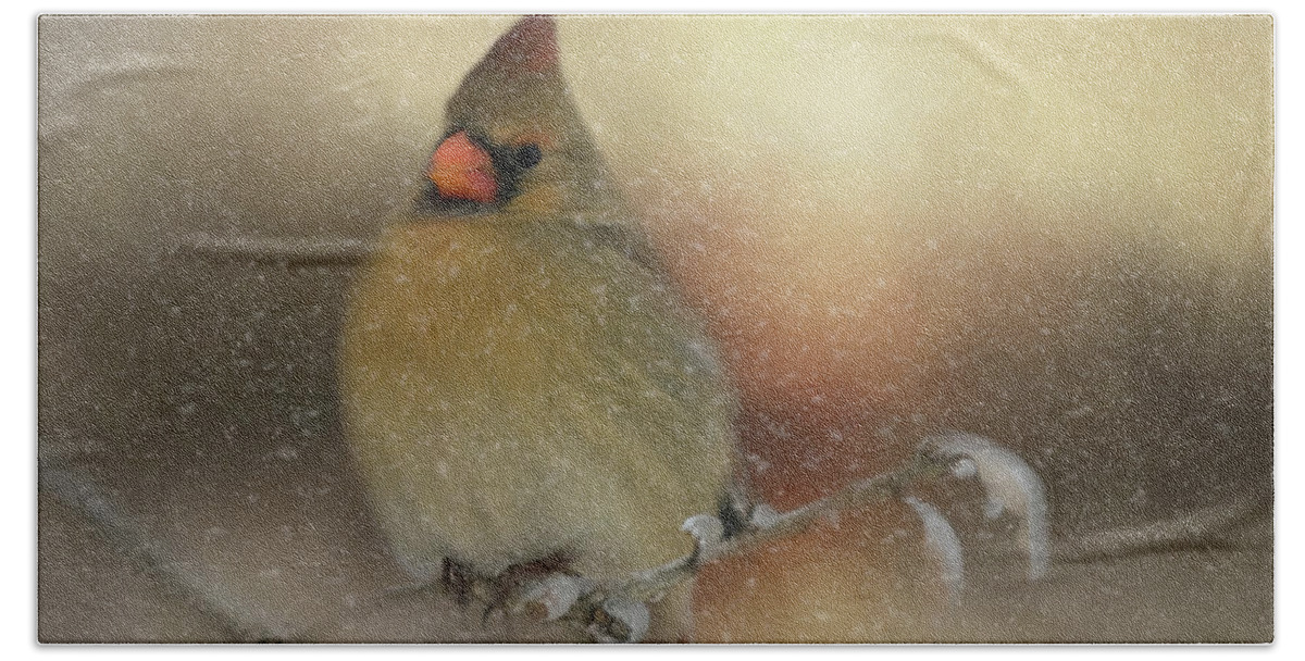 Animal Beach Towel featuring the photograph Snowy Female Cardinal by Lana Trussell