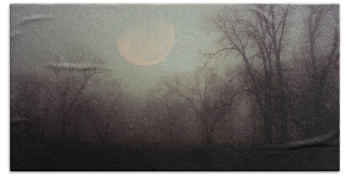Moon Beach Towel featuring the photograph Moonlit Dreams by Inspired Arts