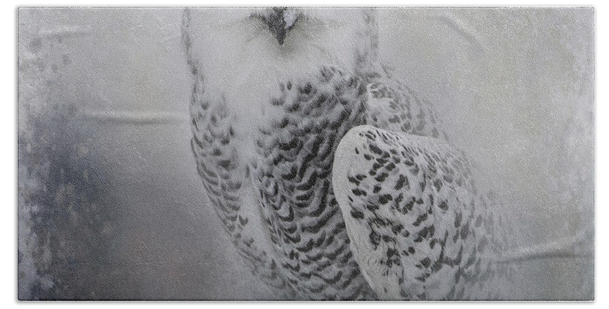 Owl Beach Towel featuring the photograph Snowy Owl Portrait by Teresa Wilson