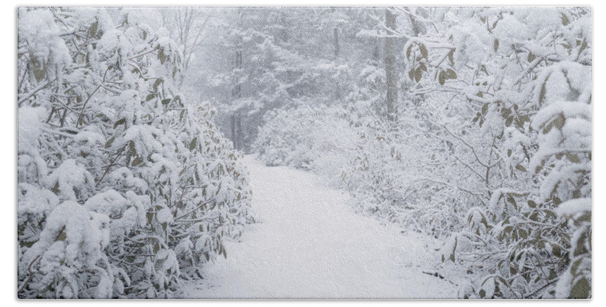 Moore State Park Paxton Ma Massachusetts Winter Snow Ice Icey Snowy Outside Outdoors Nature Natural New England Newengland Usa U.s.a. Forest Woods Secluded Trees Brian Hale Brianhalephoto Path Untraveled Snowing Beach Towel featuring the photograph Snowy Path by Brian Hale