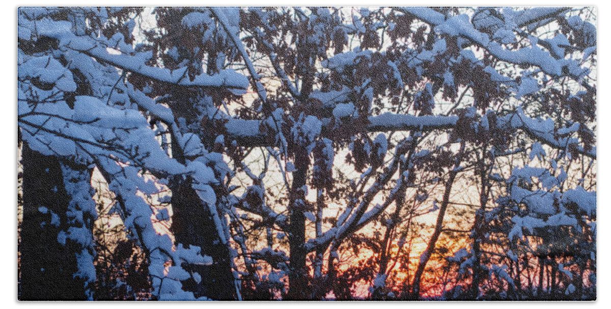 Snow Beach Towel featuring the photograph Snowy tree sunset by Toby McGuire