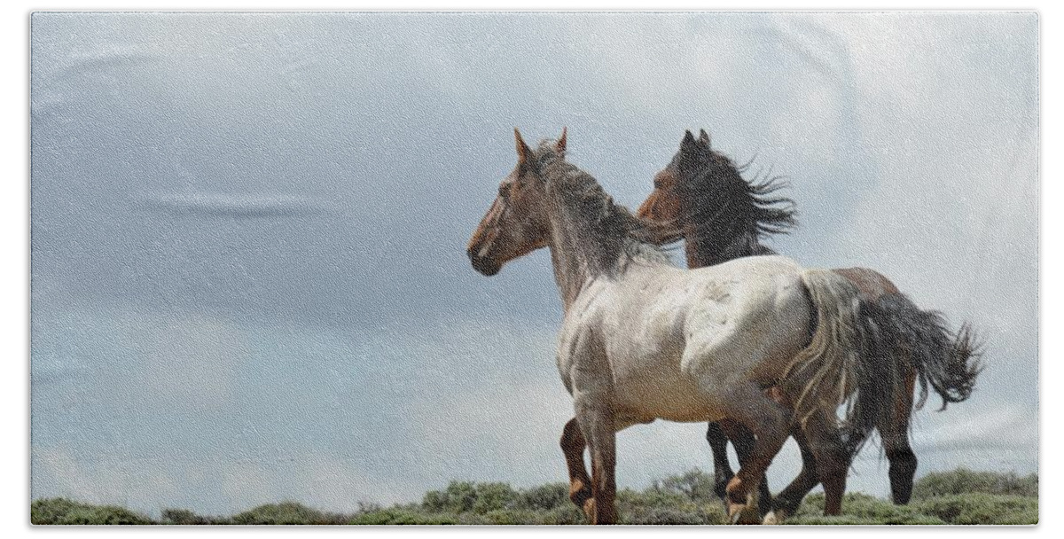 Wild Horses Beach Towel featuring the photograph So Long by Frank Madia