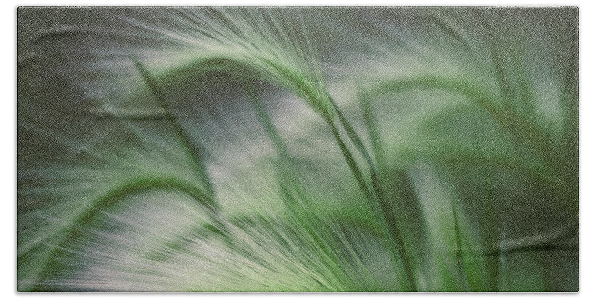 Grass Beach Towel featuring the photograph Soft Grass by Scott Norris
