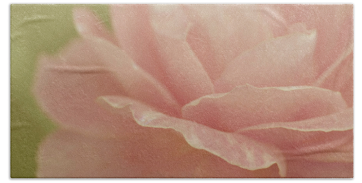 Roses Beach Towel featuring the photograph Soft Harmony by The Art Of Marilyn Ridoutt-Greene