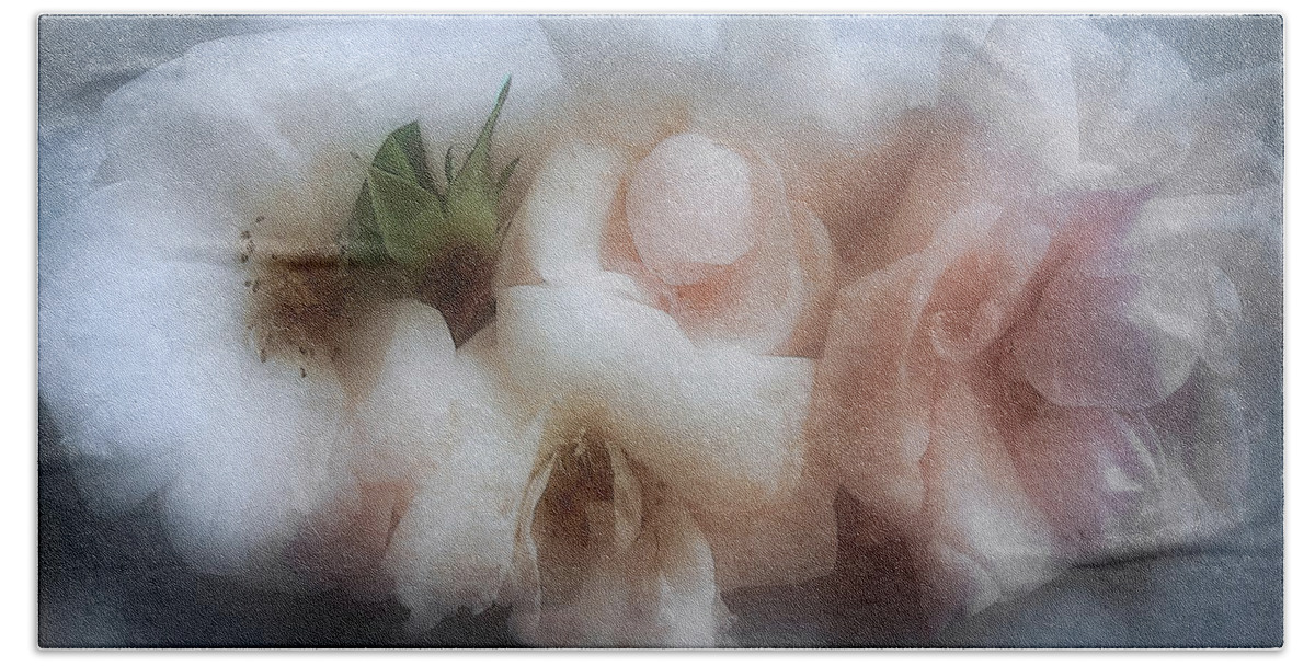 Roses Beach Towel featuring the photograph Soft Pink Roses by Louise Kumpf