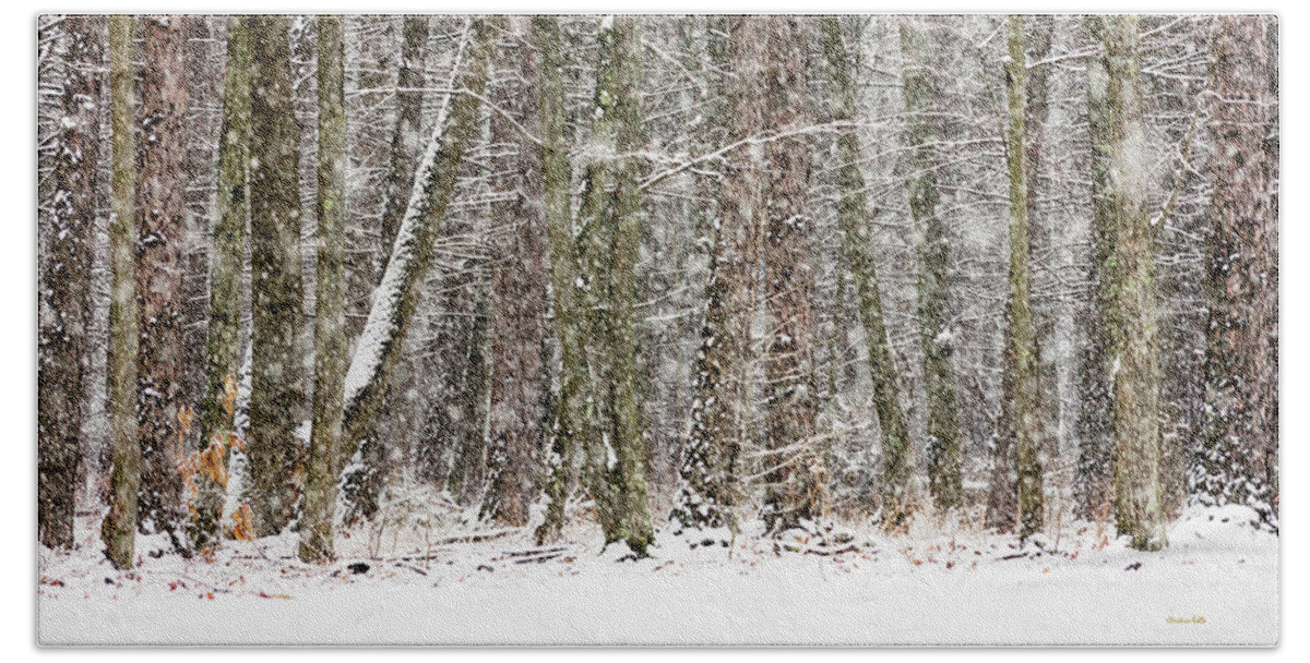 Winter Beach Towel featuring the photograph Winter Solitude by Christina Rollo