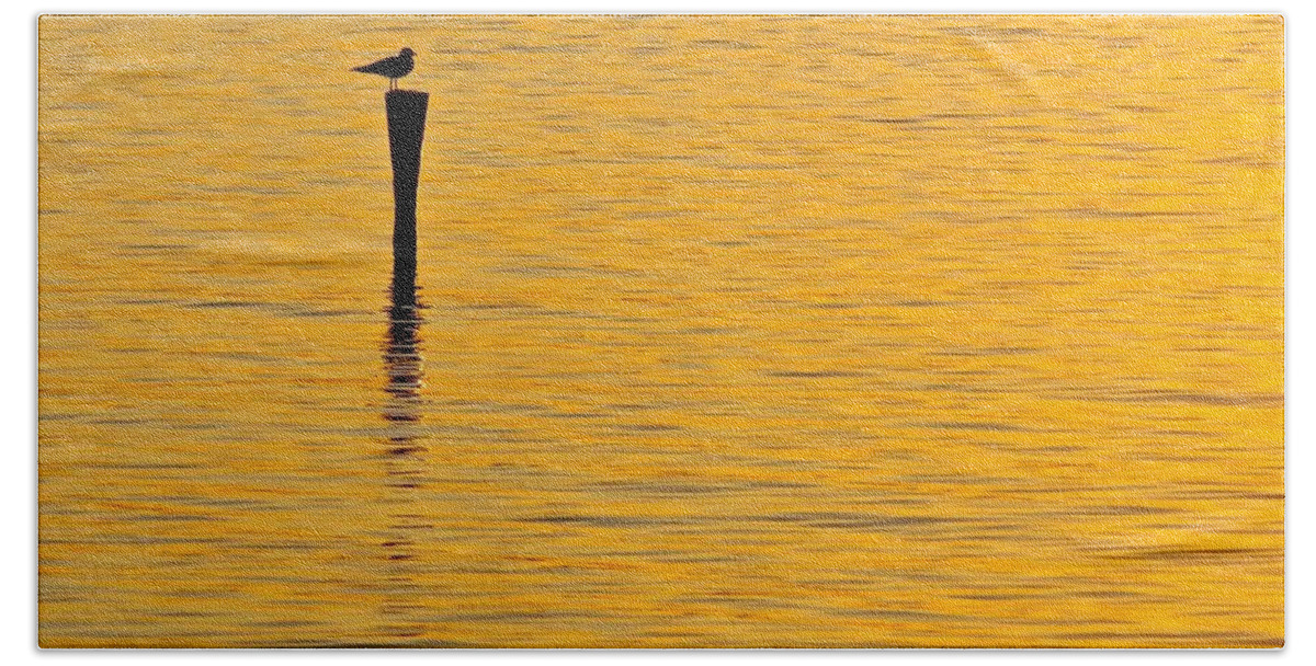 Sea Gull Beach Towel featuring the photograph Solitude by Mike Reilly