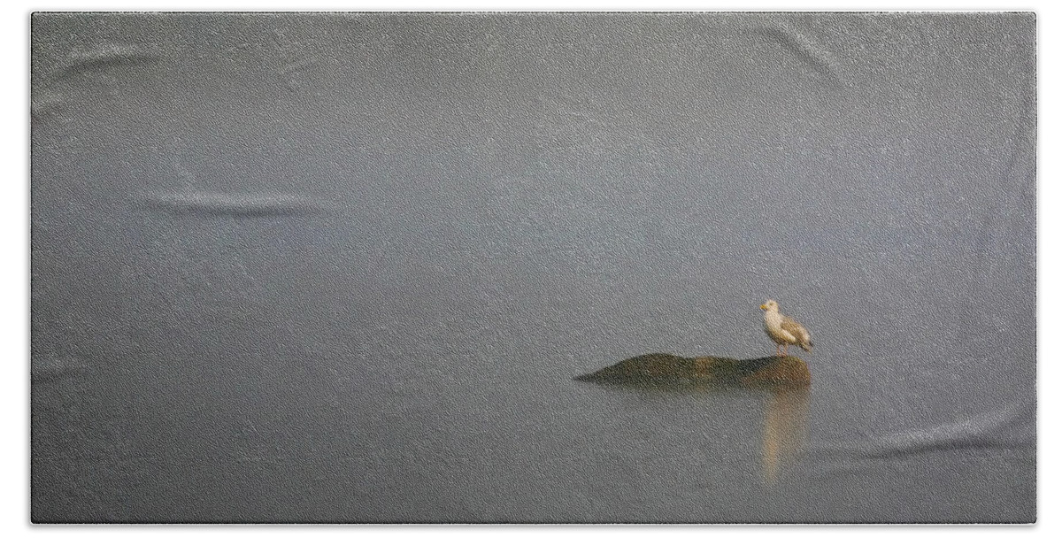 Water Pond Seagull Bird Feathers Tern Photograph Photography Digital Art Fine Art Beach Towel featuring the photograph Solitude by Shari Jardina