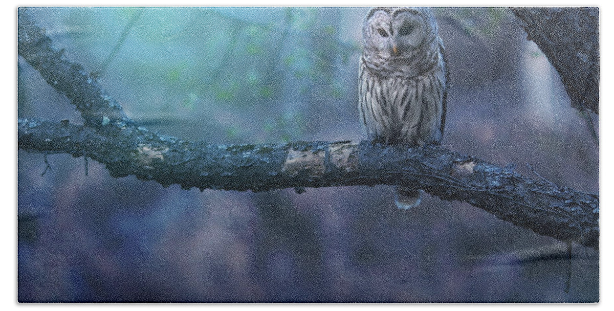 Owl Beach Towel featuring the photograph Solitude - Square by Rob Blair