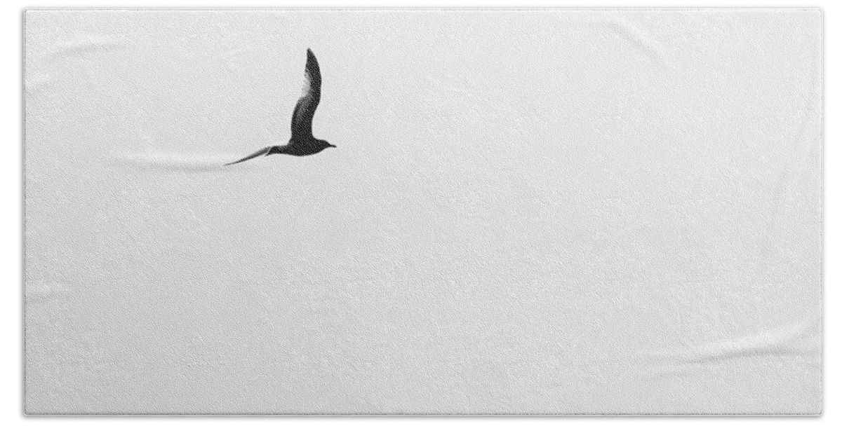 Birds Beach Towel featuring the photograph Solo Of A Bird by Jan Gelders