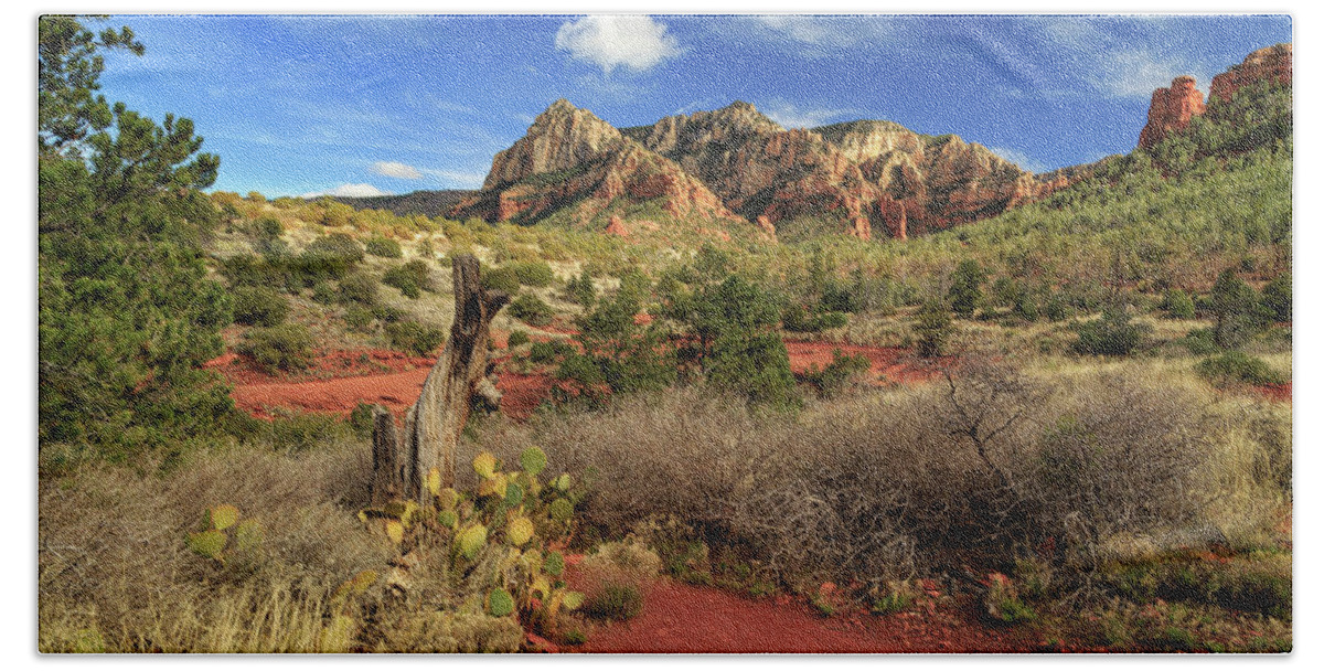 Cactus Beach Towel featuring the photograph Some Cactus In Sedona by James Eddy