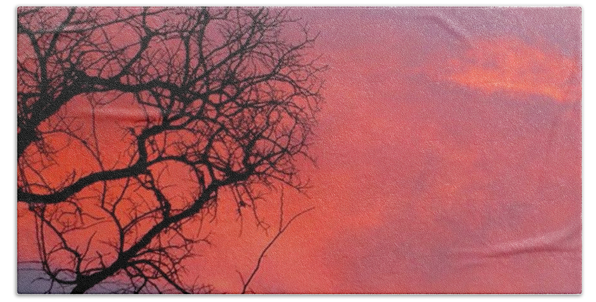 Beautiful Beach Towel featuring the photograph Some #texas #pink #skyporn. Hope That by Austin Tuxedo Cat