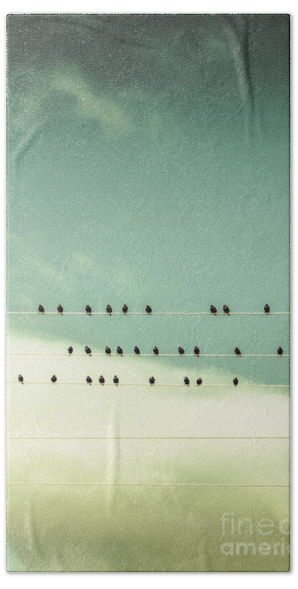 Birds Beach Towel featuring the photograph Song birds on five lined staff by Jorgo Photography