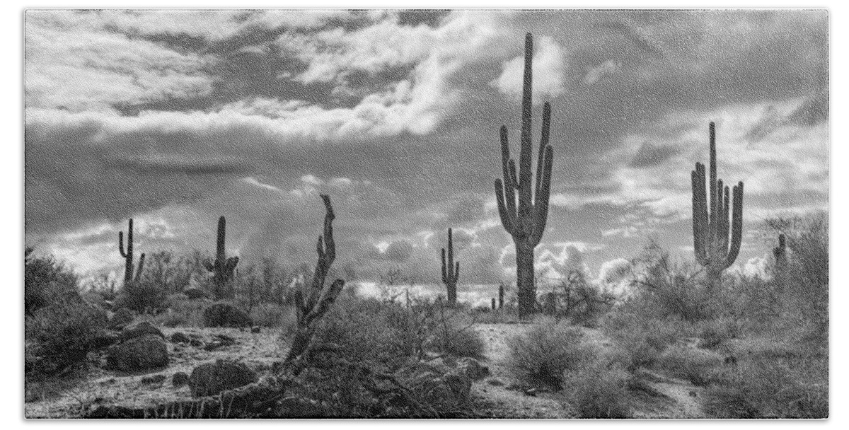 Sonoran Desert Beach Towel featuring the photograph Sonoran Desert in Black and White by Saija Lehtonen