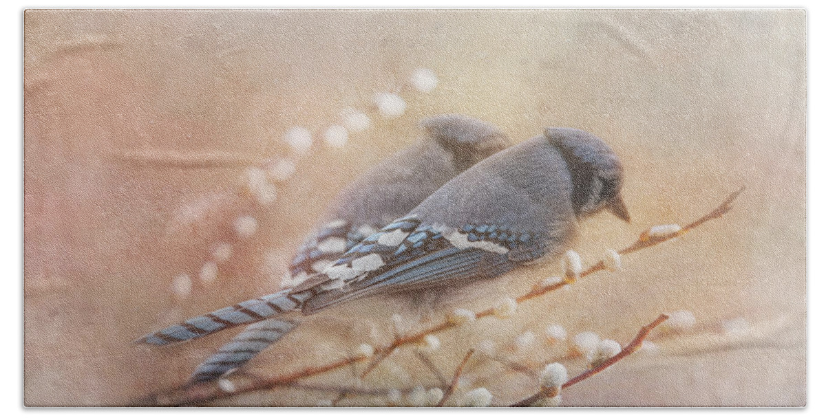 Blue Jay Beach Sheet featuring the photograph Soulmates by Sue Capuano