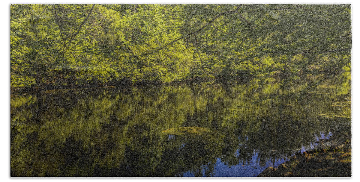 Pond Beach Towel featuring the photograph Southern Still Waters by Dale Powell