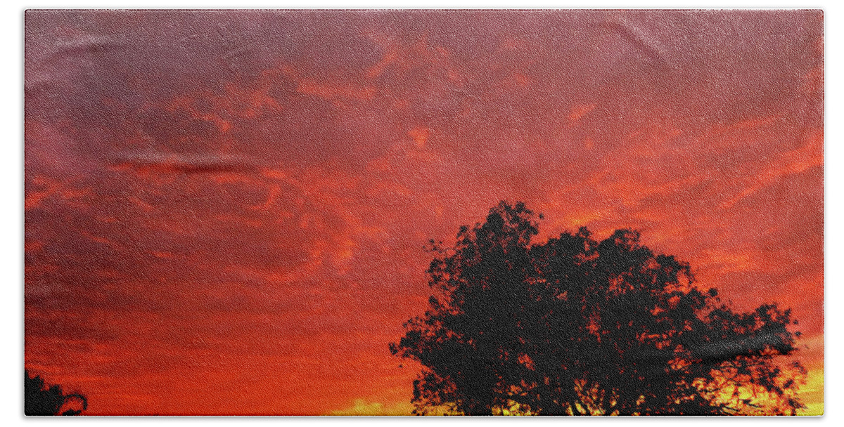 Sunset Beach Towel featuring the photograph Southern Sunset by Mark Blauhoefer