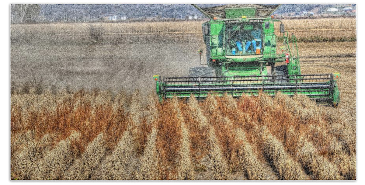 Iowa Beach Sheet featuring the photograph Soybean Harvest Fremont County Iowa by J Laughlin