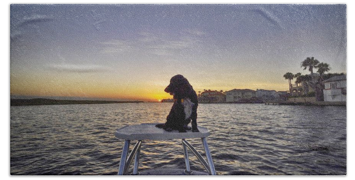 Spaniel Beach Sheet featuring the photograph Spaniel at Sunset by Kristina Deane