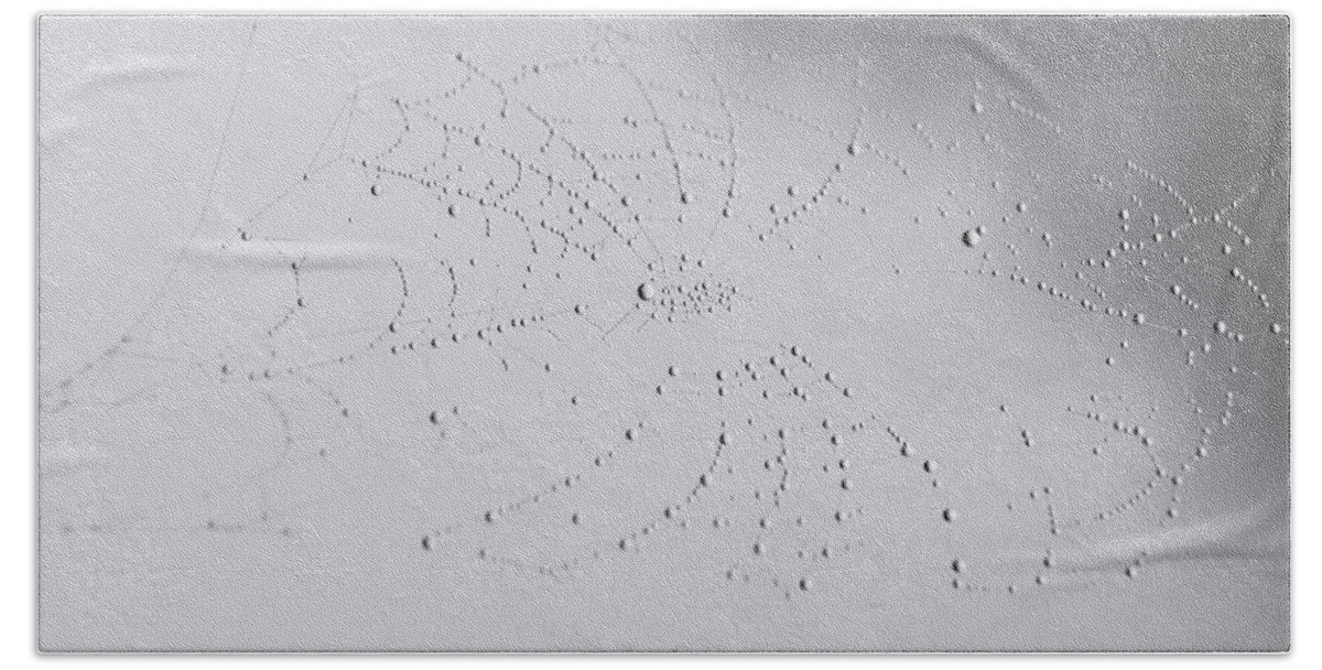 Nature Beach Towel featuring the photograph Spider Web after the storm by Andrea Anderegg
