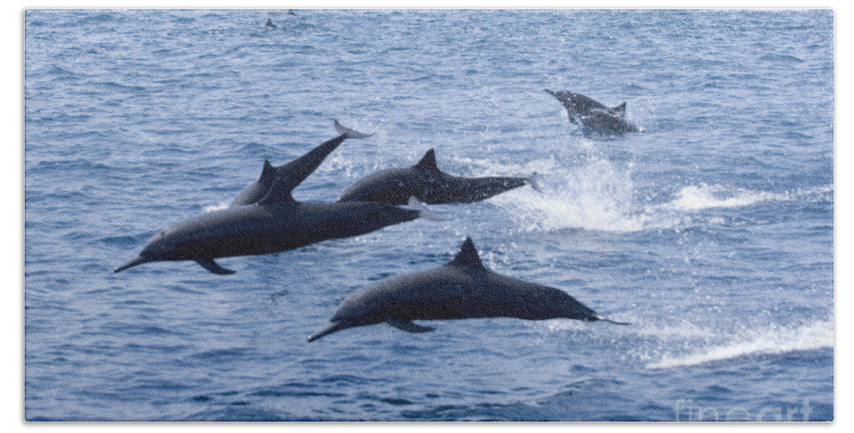 Amaze Beach Towel featuring the photograph Spinner Dolphins by Rick Gaffney - Printscapes