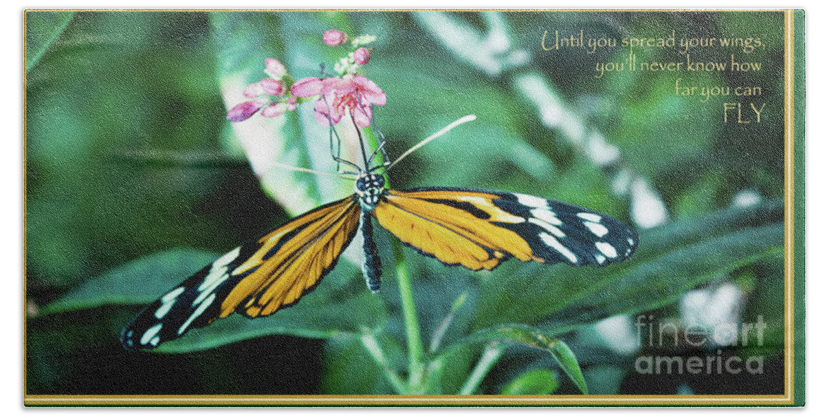 Macro Beach Towel featuring the photograph Spread your Wings by Deborah Klubertanz
