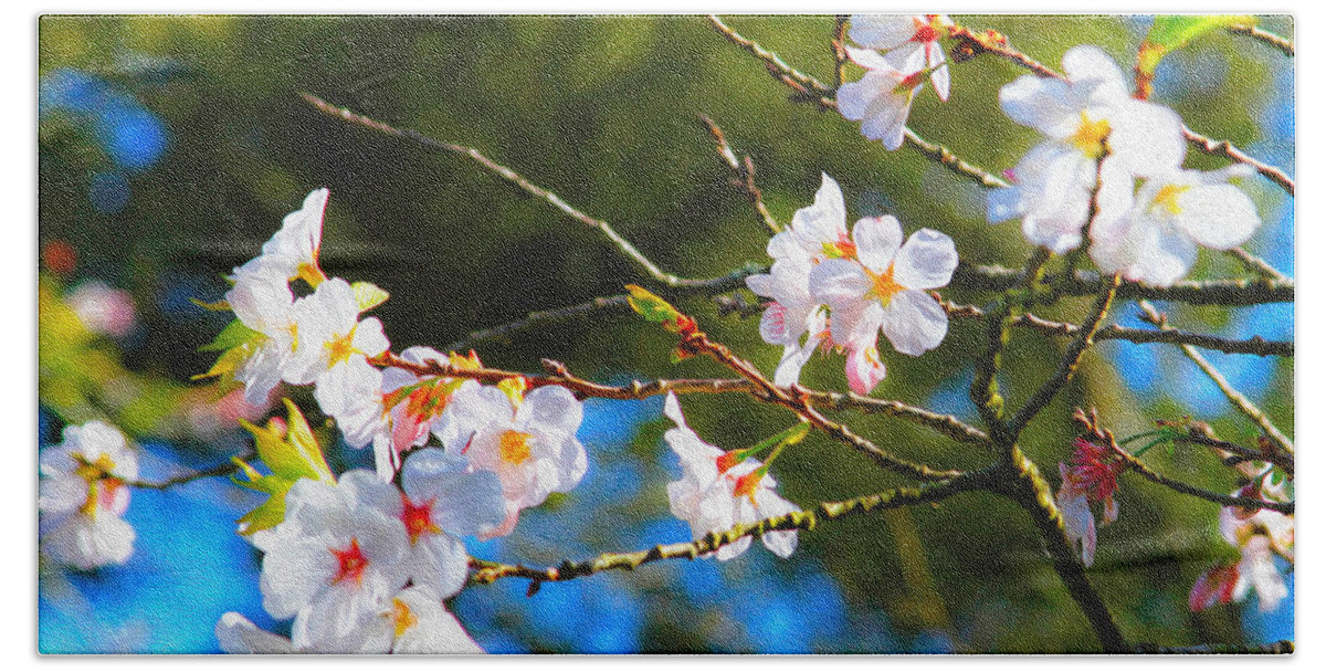 Bonnie Follett Beach Towel featuring the photograph Spring Cherry Blossoms 2 by Bonnie Follett