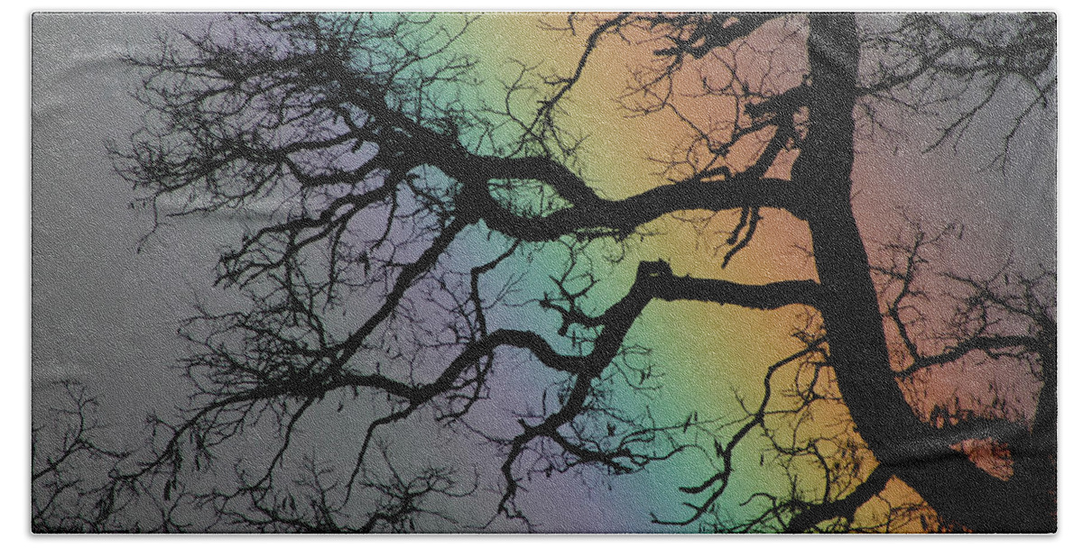 Spring Beach Towel featuring the photograph Spring Rainbow by Cathie Douglas