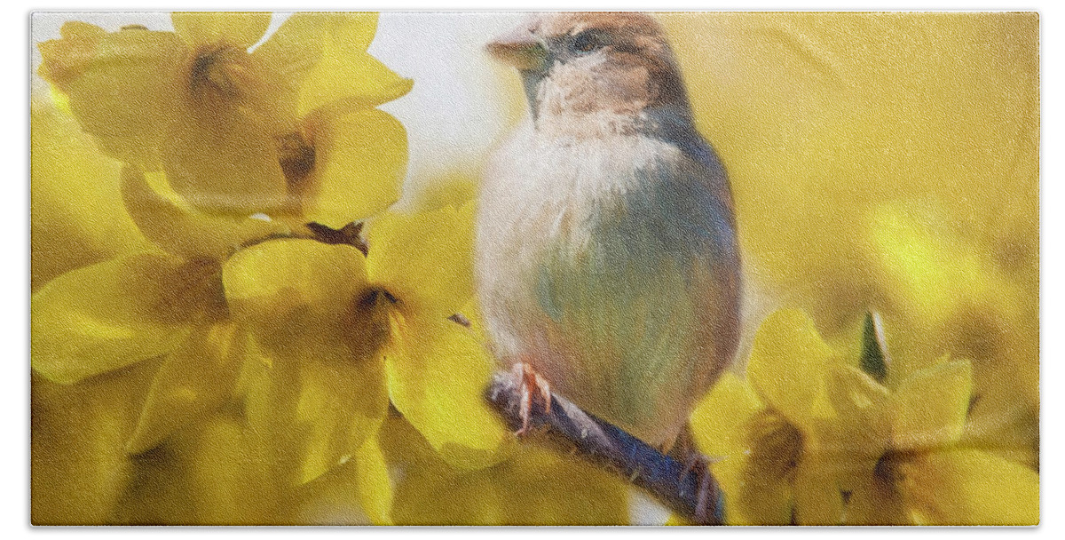 Forsythia Beach Towel featuring the photograph Spring Sparrow by Cathy Kovarik