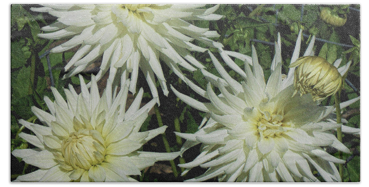 Flower Beach Sheet featuring the photograph Spring Splendor by Joyce Creswell