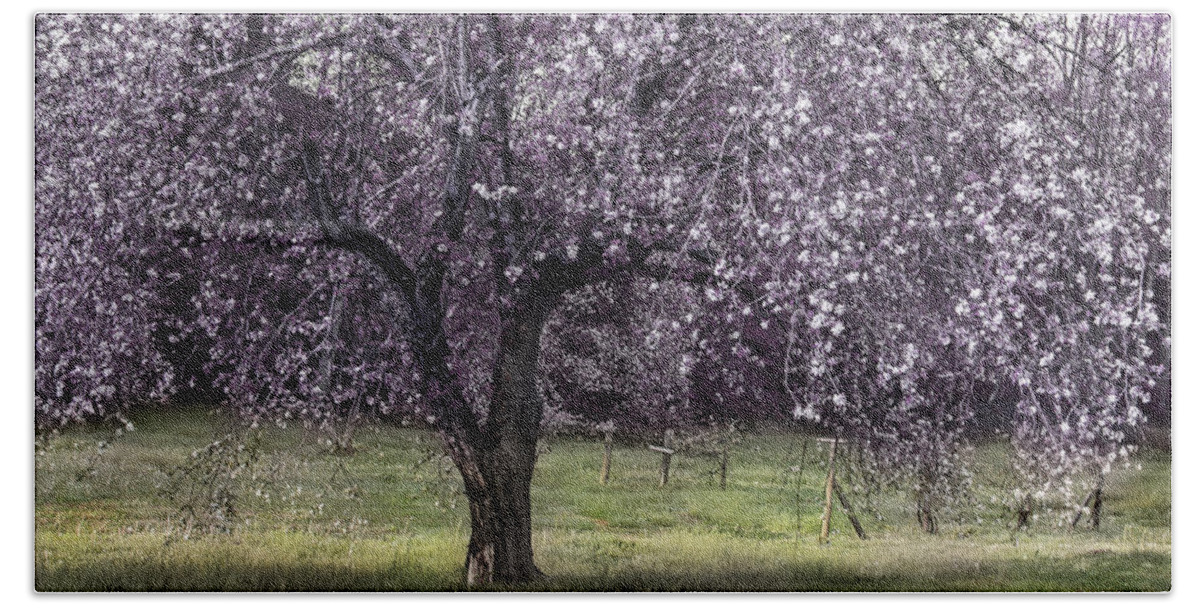Apple Tree Beach Towel featuring the photograph Spring Time In The Country by Mike Eingle