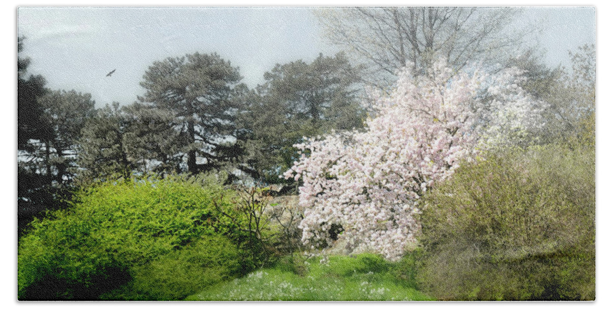 New York Botanical Gardens Beach Sheet featuring the photograph Spring Treasures by Diana Angstadt