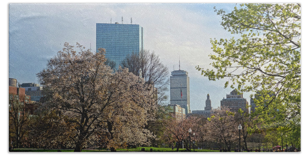 Boston Beach Towel featuring the photograph Springtime on Boston Common Boston MA by Toby McGuire