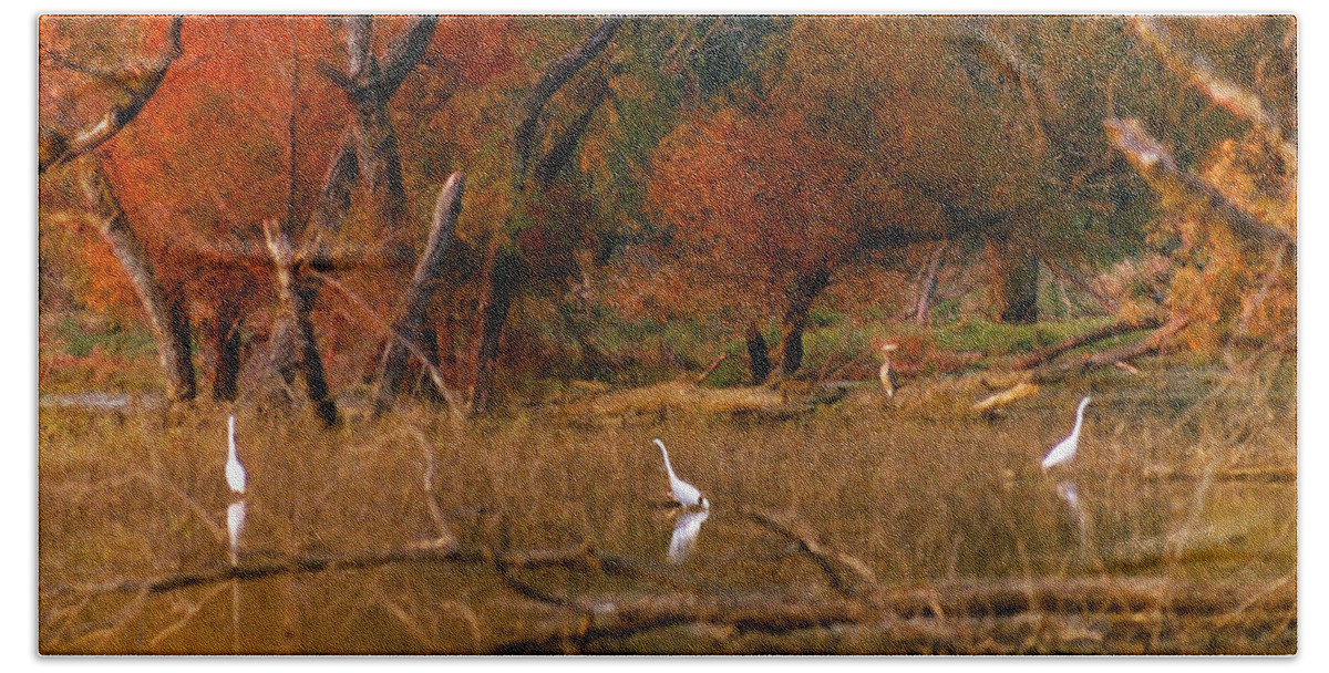 Landscape Beach Sheet featuring the photograph Squaw Creek Egrets by Steve Karol