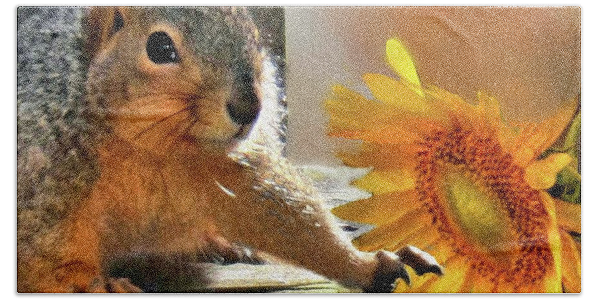 Squirrel Beach Towel featuring the photograph Squirrel and Sunflower by Janette Boyd