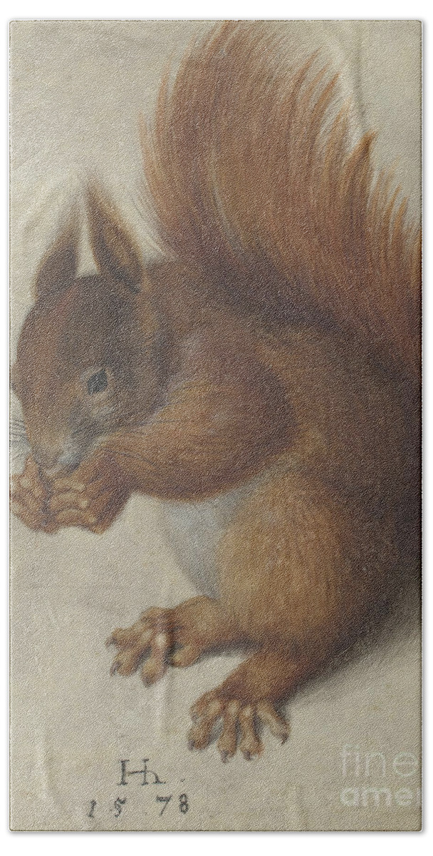 Squirrel Beach Sheet featuring the painting Squirrel by Hans Hoffmann