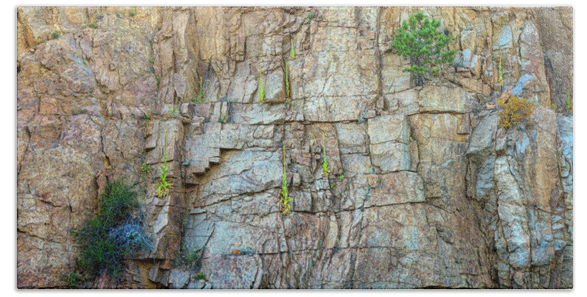 Cliff Beach Towel featuring the photograph St Vrain Canyon Wall by James BO Insogna