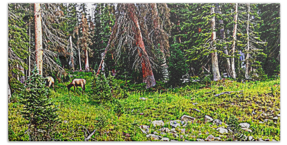 16.00x11.625 Beach Towel featuring the photograph Stag forest by Lesli Sherwin