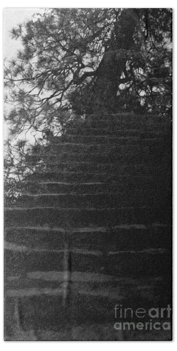 Tree Beach Towel featuring the photograph Stairway To Heaven-Signed-#001 by J L Woody Wooden