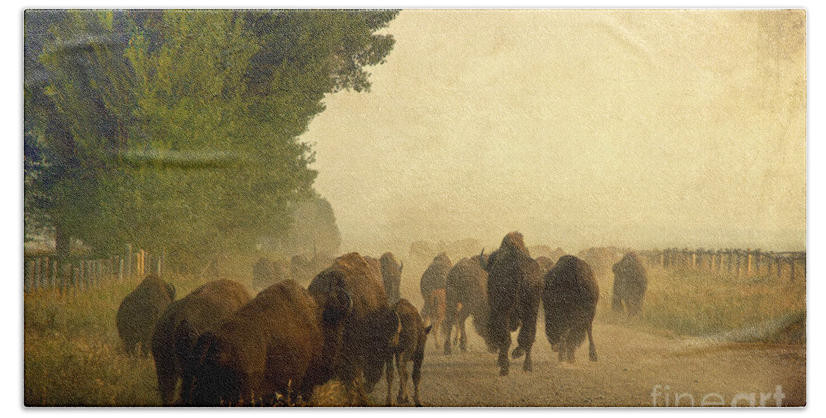Bison Beach Sheet featuring the photograph Stampede by Teresa Zieba