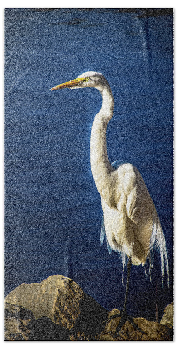 Egret Beach Sheet featuring the photograph Standing Proud by Steph Gabler