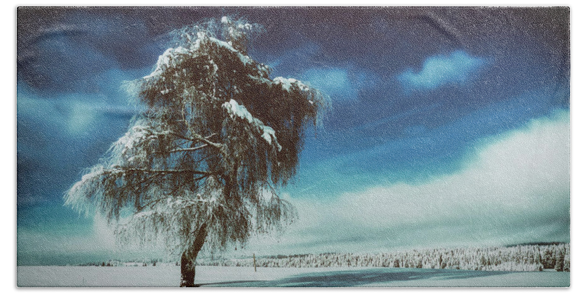Tree Beach Towel featuring the photograph Standing Tall In Winter by Mountain Dreams