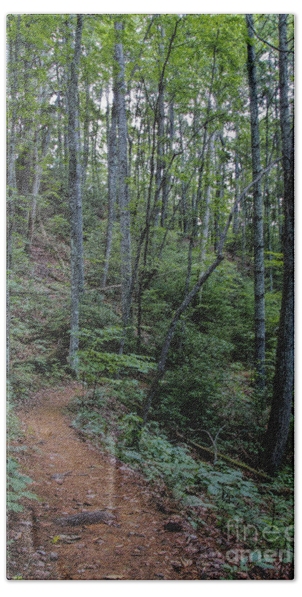 Stanly Gap Trail Beach Towel featuring the photograph Stanly Gap Trail by Barbara Bowen