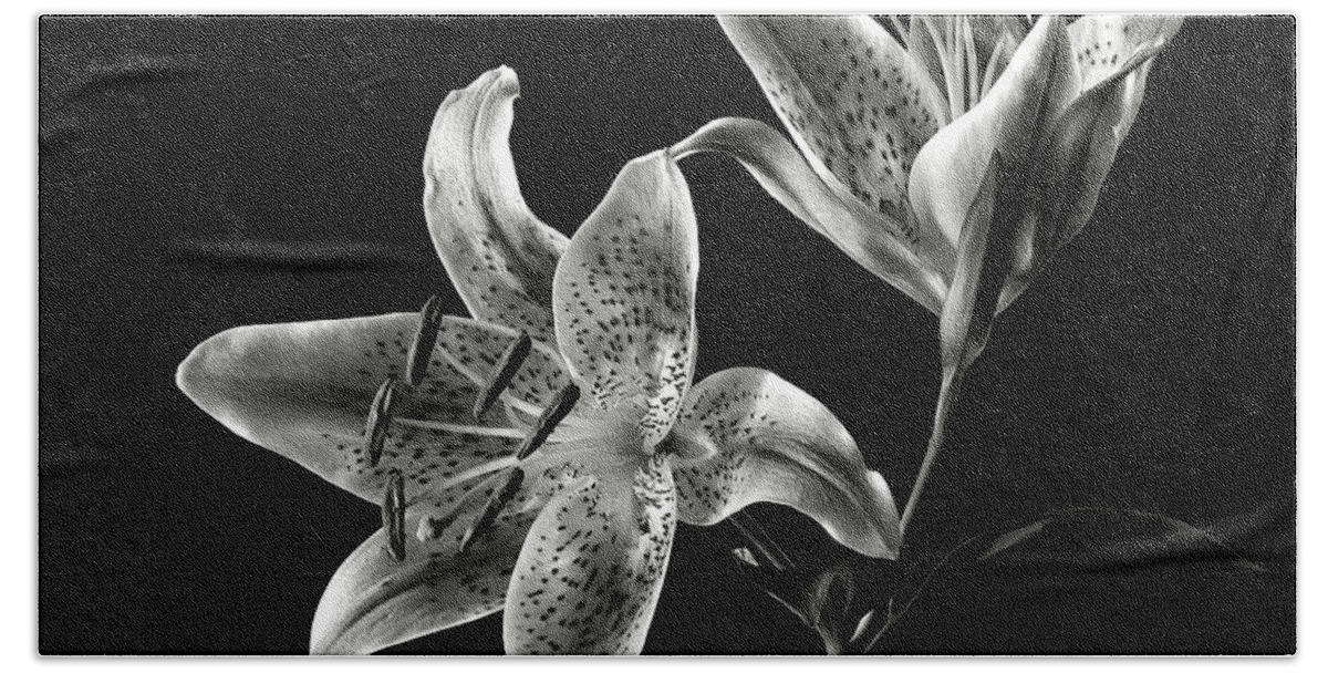 Flower Beach Towel featuring the photograph Stargazer Lily in Black and White by Endre Balogh