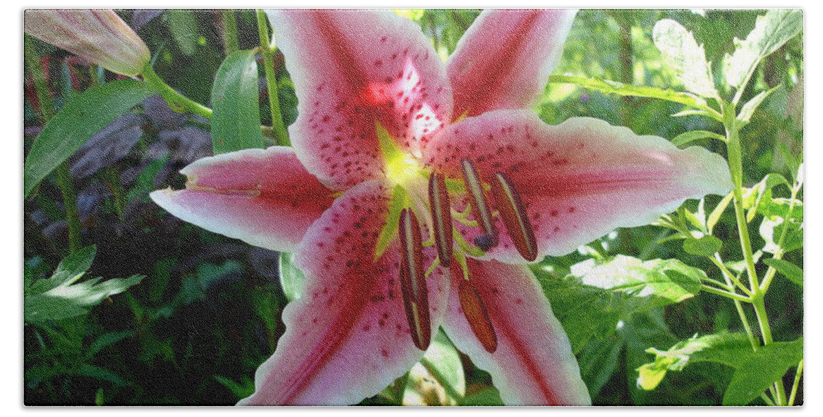 Lily Beach Towel featuring the photograph Stargazer lily by Susan Baker