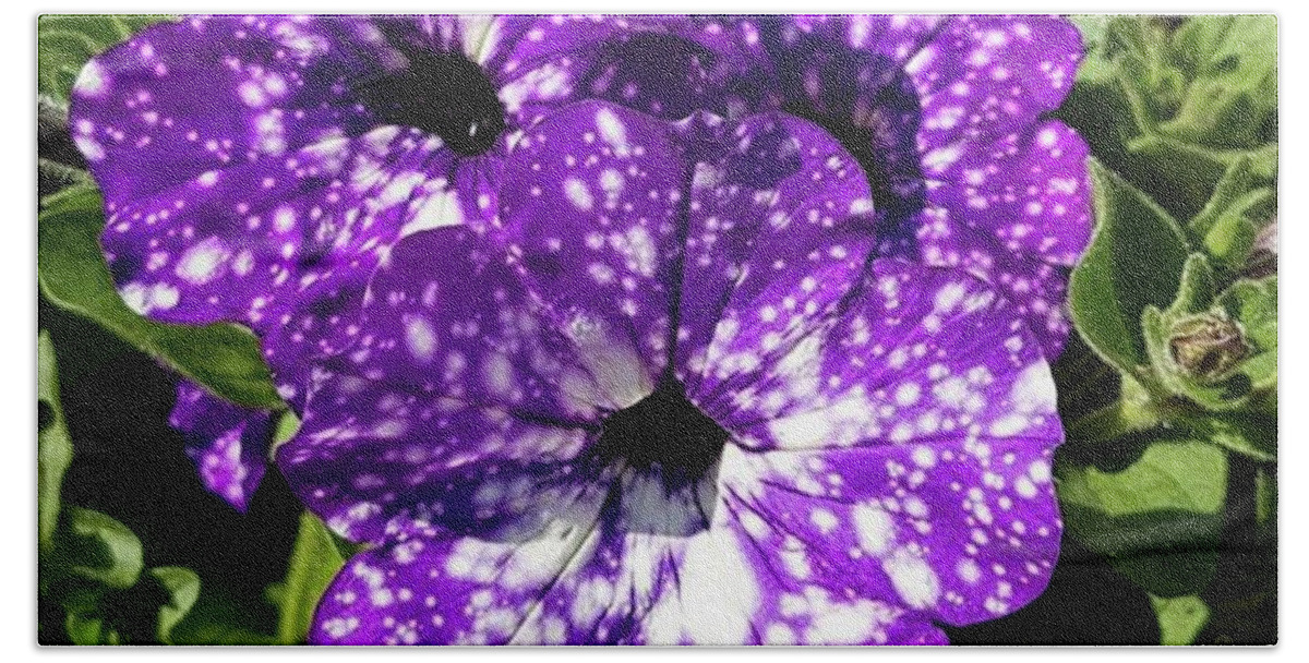 Garden Beach Towel featuring the photograph Starry Petunias... by Rowena Tutty