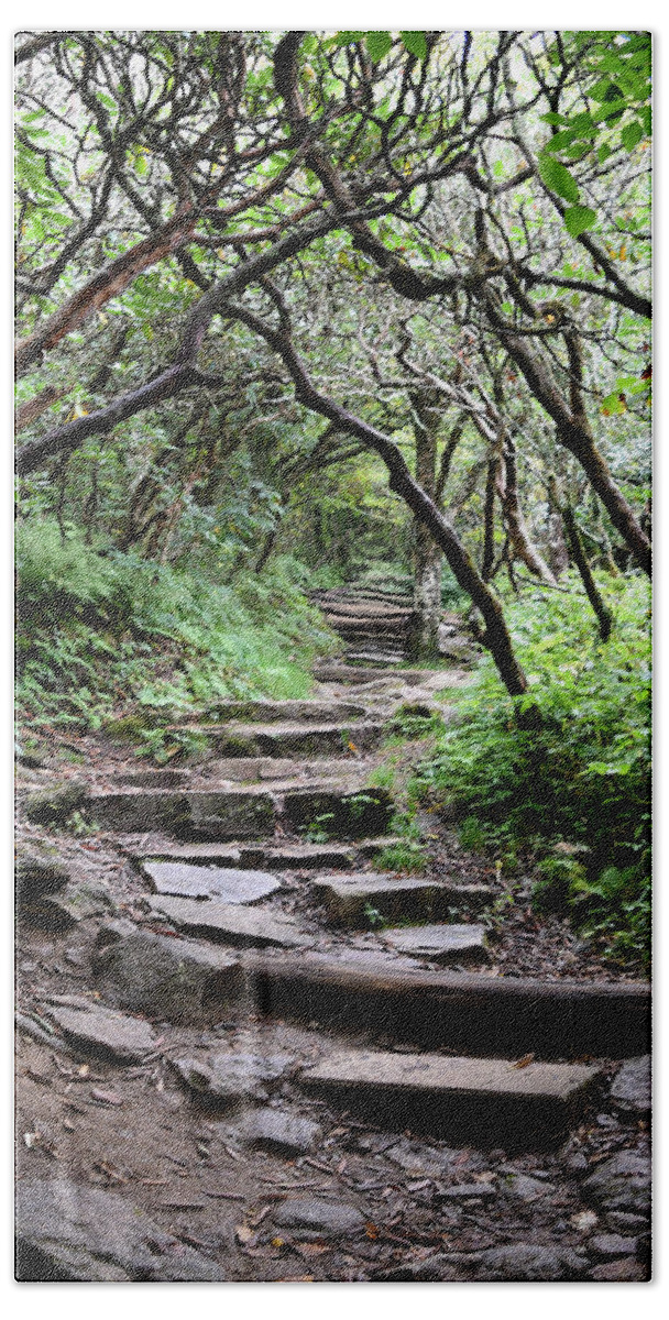 Forest Beach Sheet featuring the photograph Steps Into the Enchanted Forest by Gary Smith